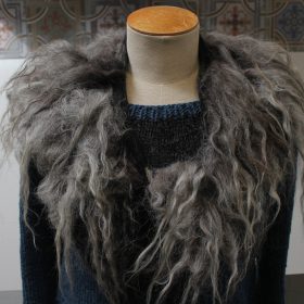Grijze vachtkraag drents heideschaap