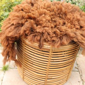 Alpaca bruin Nigel