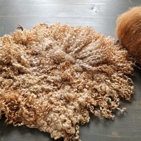 Klein krulvachtje warm oranje