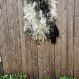 Wandkleed abstract met zwarte vachtwol