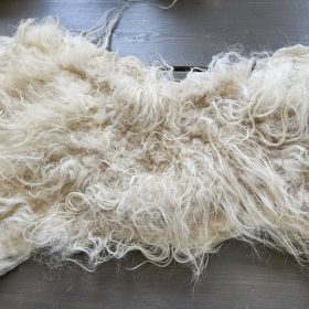 Omslag vacht Heideschaap -verkocht