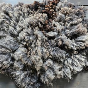 Grijze blauwe texelaarvacht