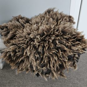 Blauwe Texelaar bruingrijs vachtje