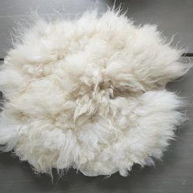 Schoonebeker vacht met grijs plukje