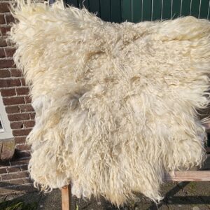 Drents Heideschaap Anna
