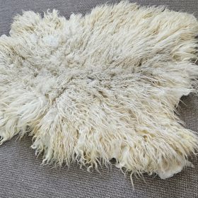 Drents Heideschaap Anna