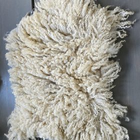 Crème krulvachtje, 60 x 50 cm