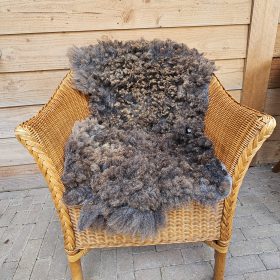 Grijze blauwe texelaar, 100 cm x 55 cm.