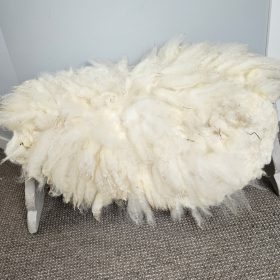 Fries melkschaap vachtje