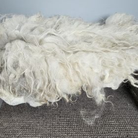 Skudde vachtje met grijs