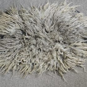 Grijze Drents heideschaap vacht