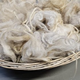 Drents heideschaap wol