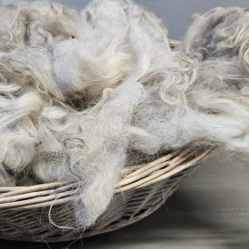 Drents heideschaap wol (grijzig)