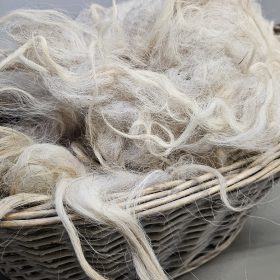 Drents heideschaap wol