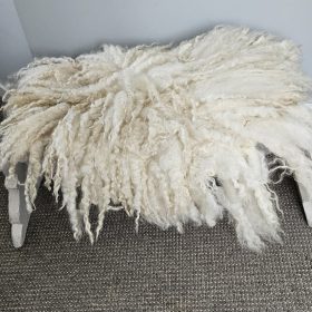 Masham krulvachtje -verkocht