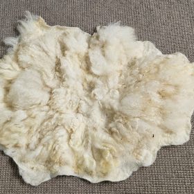 Veluws schapenvachtje 11