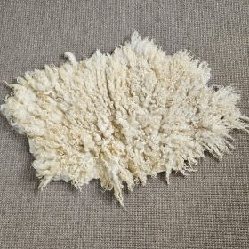 Masham krulvachtje, 50 x 45 cm