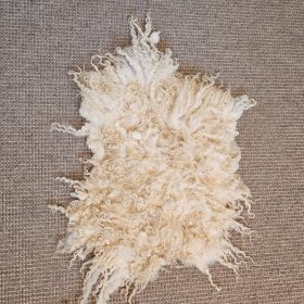 Beige krulvachtje, 45 x 40 cm