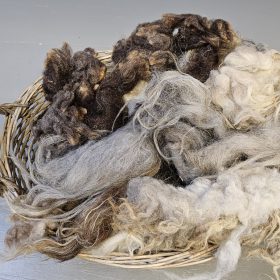 Vachtwol van Nederlandse schapenrassen