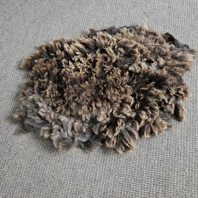 Blauwe texelaar schapenvachtje