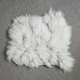 Alpaca witte vacht met lange lokken