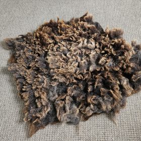 Blauwe texelaar schapenvachtje