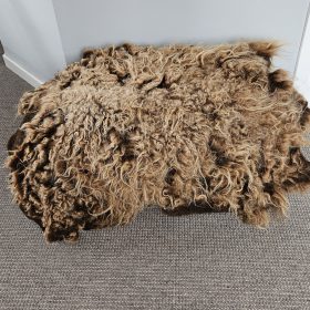 Ouessant bruin vachtje