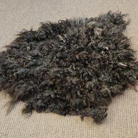 Gotland donkergrijze vacht