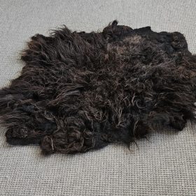 Grytsje zwarte vacht