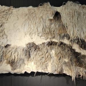 Duinpan