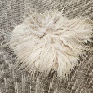 Drents heideschaap vachtje, serie natuur 1