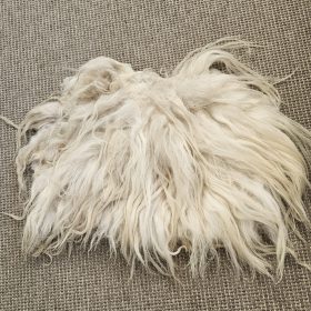 Drents heideschaap vachtje, serie natuur 2