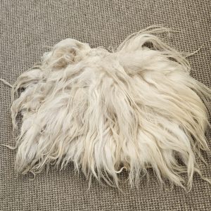 Drents heideschaap vachtje, serie natuur 2