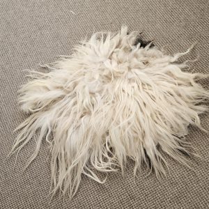 Drents heideschaap vachtje, serie natuur 4