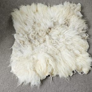 Drents Heideschaap crème