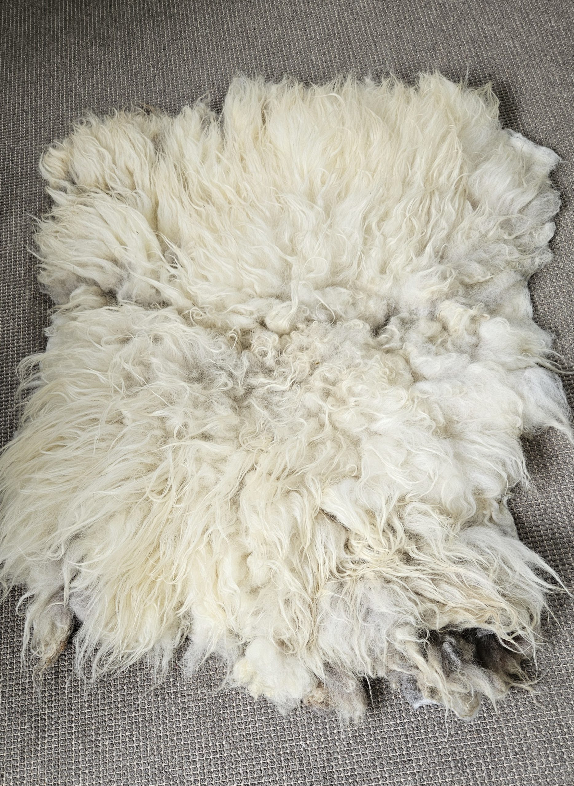 Drents Heideschaap crème, 95 x 75 cm