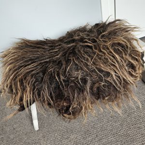 Bruin vachtje Heideschaap