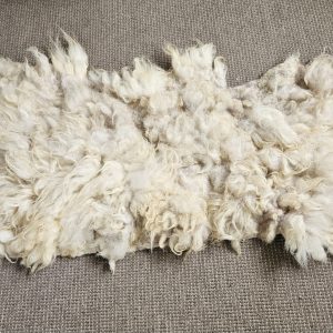 Drents Heideschaap langwerpig vachtje
