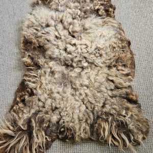 Ouessant vachtje bruin