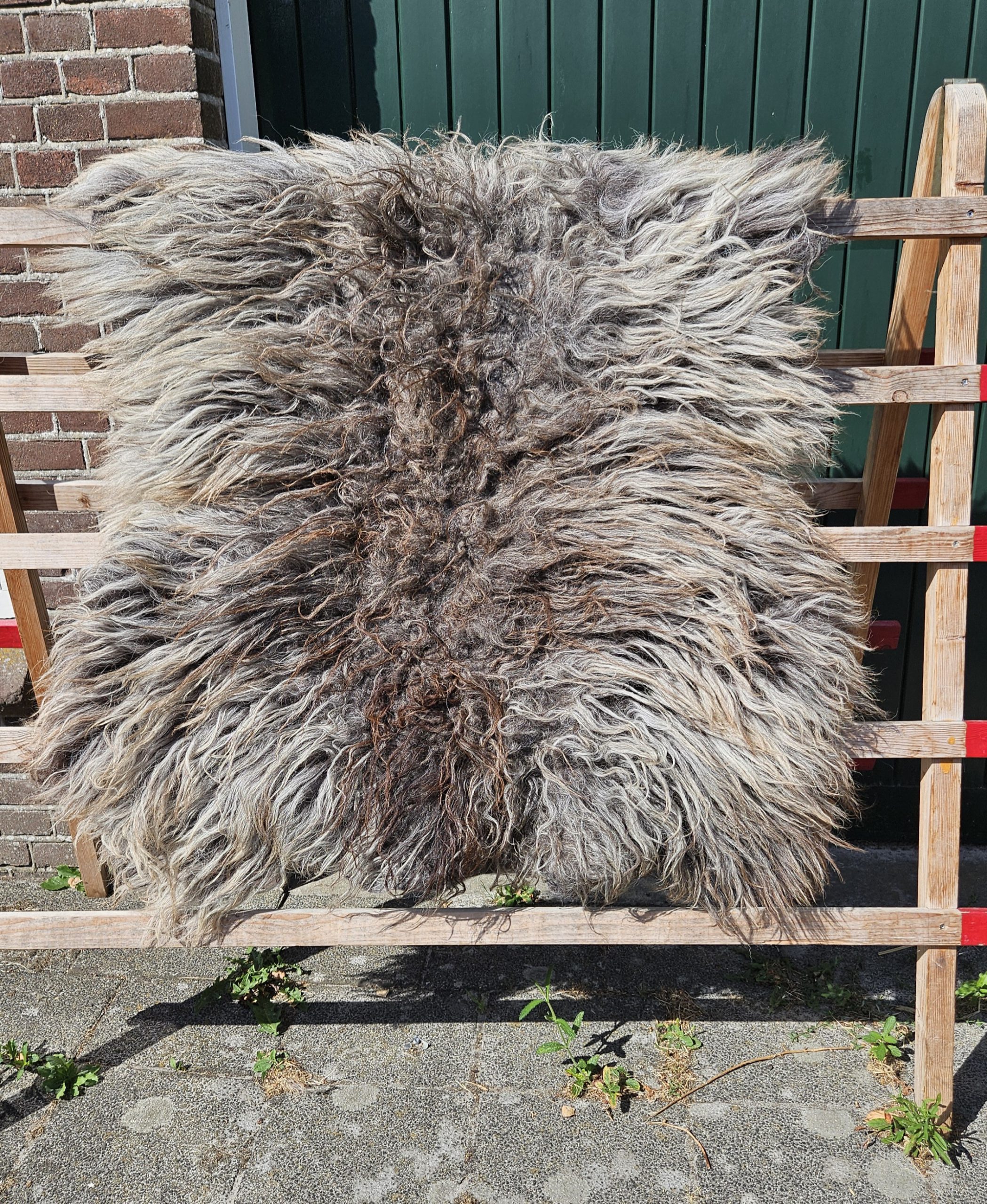 Schoonebeker grijs - Image 2