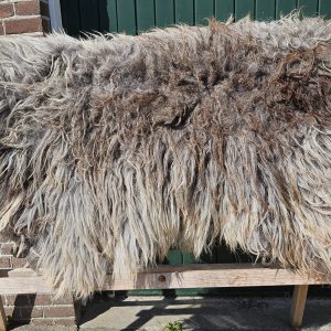 Schoonebeker grijs
