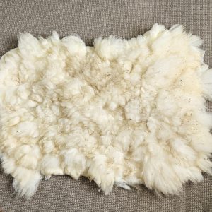 Veluws heideschaap vacht crèmewit