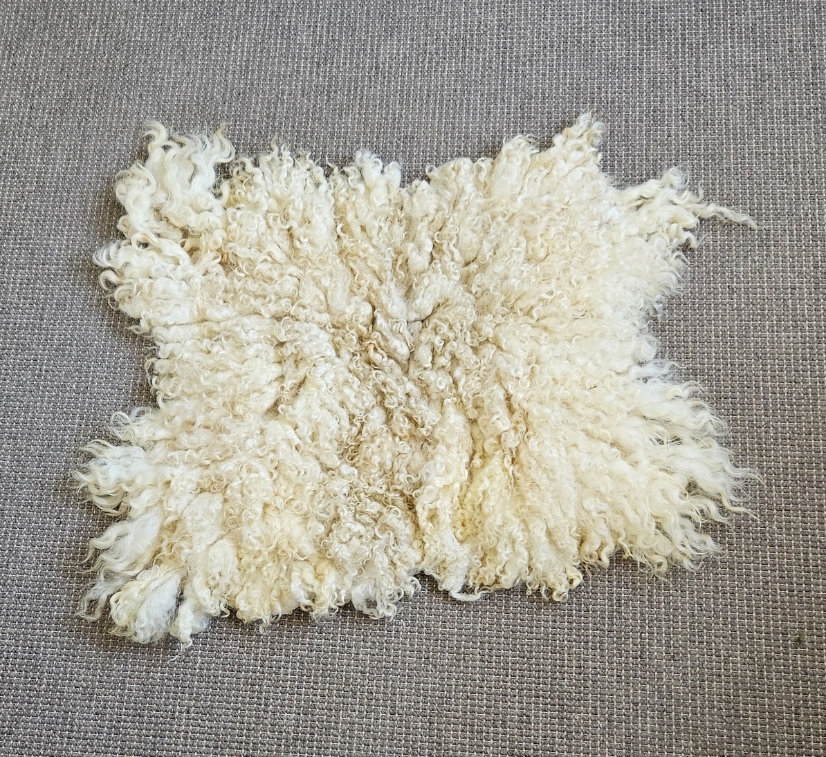 Crème krulvacht, 60 x 50 cm
