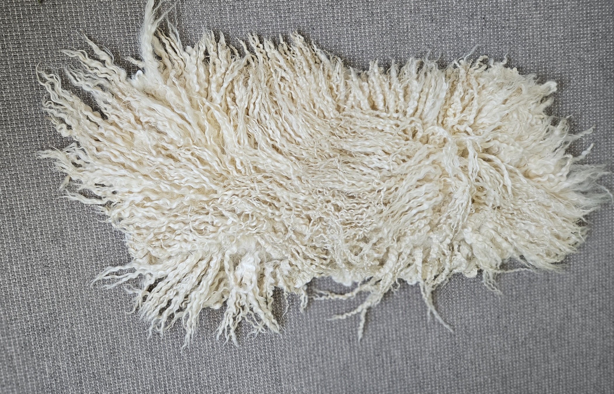 Crème krulvacht met lange lokken - Image 2
