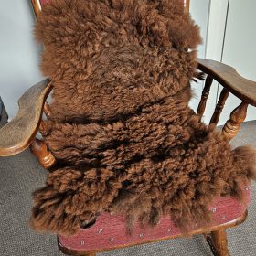 Alpacavacht pure chocobruin Nigel