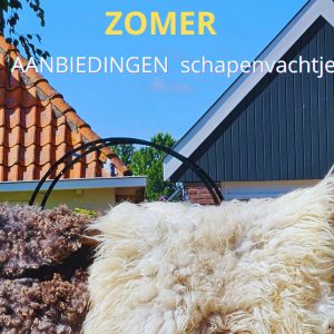 AANBIEDINGEN
