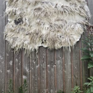 Wandkleed Drents Heideschaap gemêleerd, 120 x 85 cm