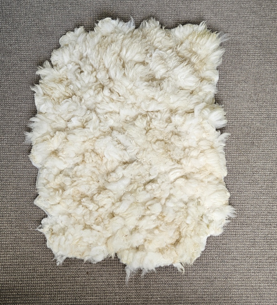 Texelaar vacht crème 02