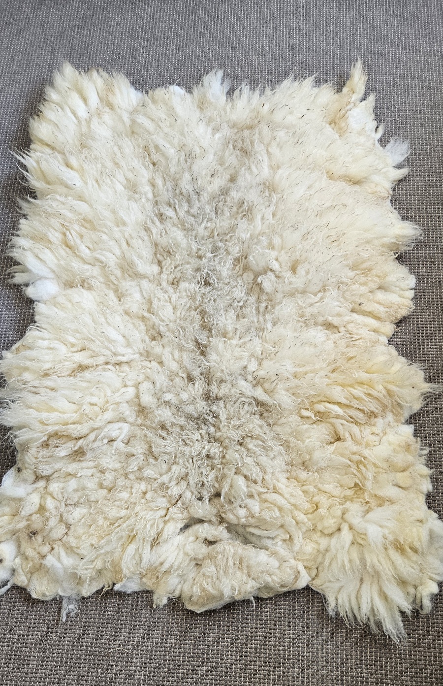 Heideschaap vacht crème, 130 x 85 cm
