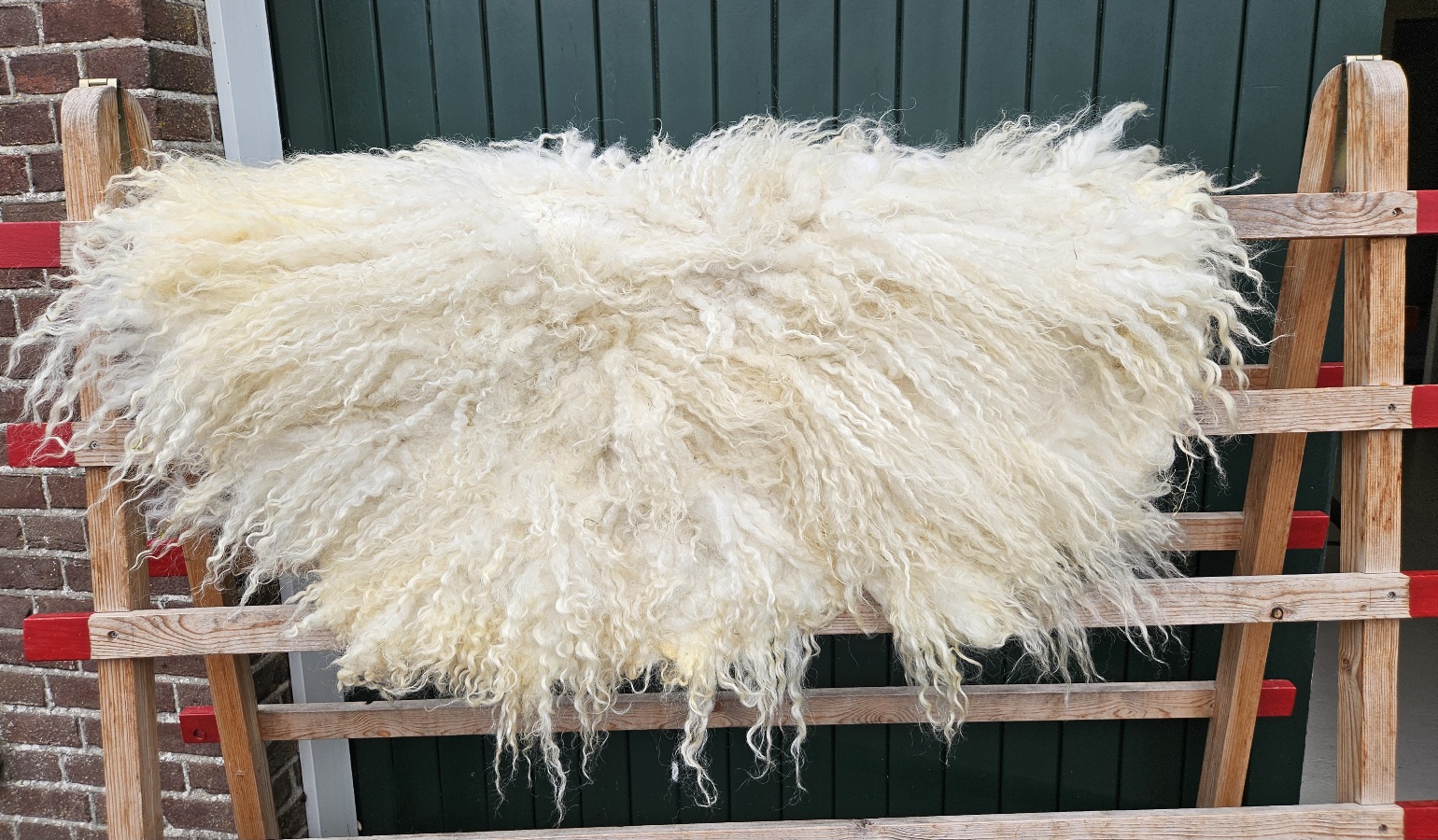 Walliser Schwarznase vacht, 105 x 70 cm - Afbeelding 2